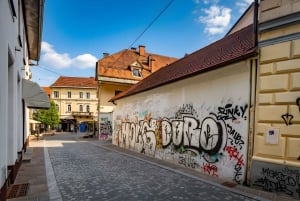 Ljubljana: Street Art and Alternative Culture Bike Tour