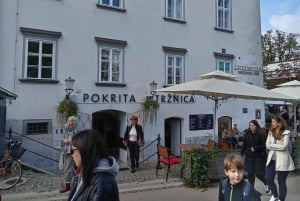 Ljubljana: Tour stupenda divertente esperienza tempo storia