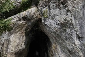 Ljubljana till Postojna-grottan, Predjama-slottet och Postojna-parken