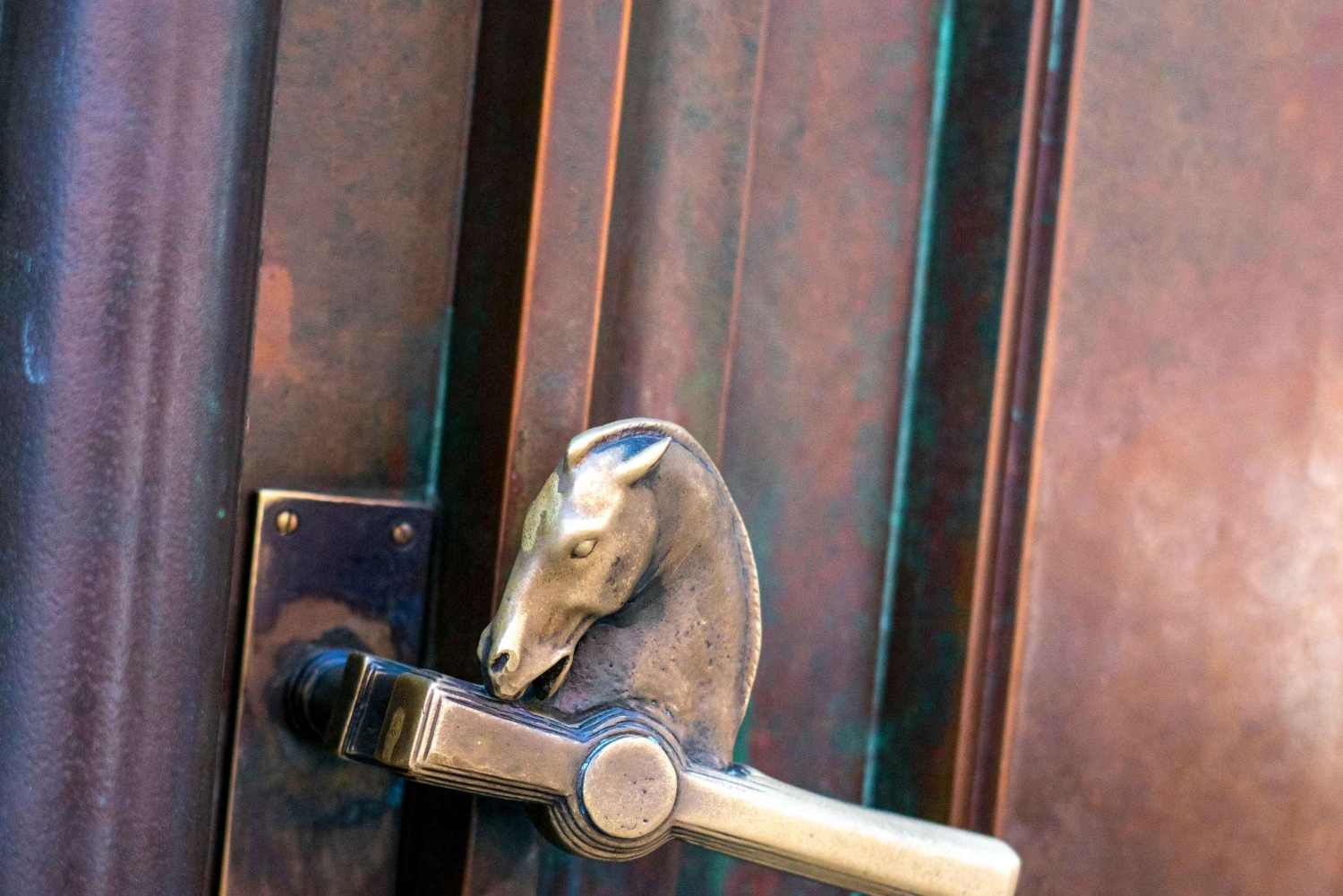 Ljubljana: Rundresa till UNESCO:s kulturarv