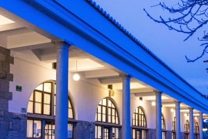 Ljubljana: Tour pelo patrimônio cultural da UNESCO