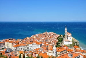 Ljubljana: UNESCO-listede Škocjan-grottene og dagstur til Piran