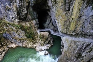 Ljubljana: UNESCO-listede Škocjan-grottene og dagstur til Piran