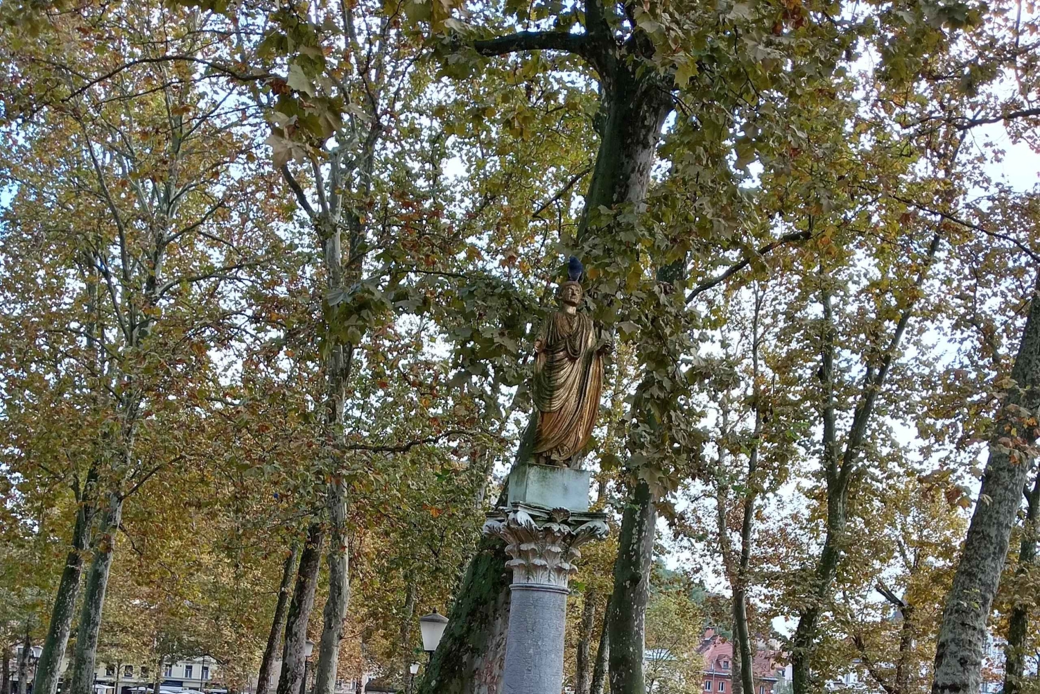 Ljubljana: Vidunderlig tur, sjov oplevelse, tidshistorie