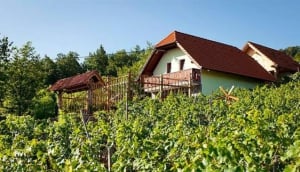 Lustek Vineyard Cottage