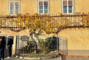 MARIBOR: an old town between the Middle Ages and modernity – a guided tour