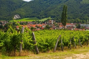 Maribor & Styria Tour com prova de vinhos