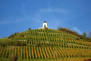 Maribor & Styria Tour com prova de vinhos