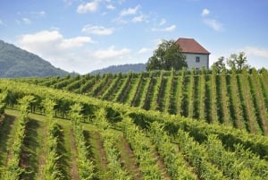 Maribor & Styria Tour com prova de vinhos