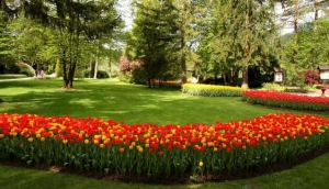 Mozirski gaj - Flower Park