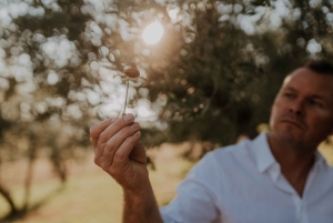 Oliiviöljyn maistelu Kokemus makujen ja aromien matkassa