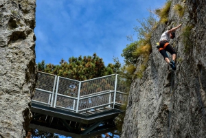 Osp: Sessione di arrampicata con una guida nell'Istria slovena