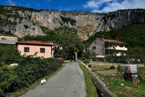 Osp: Sessione di arrampicata con una guida nell'Istria slovena