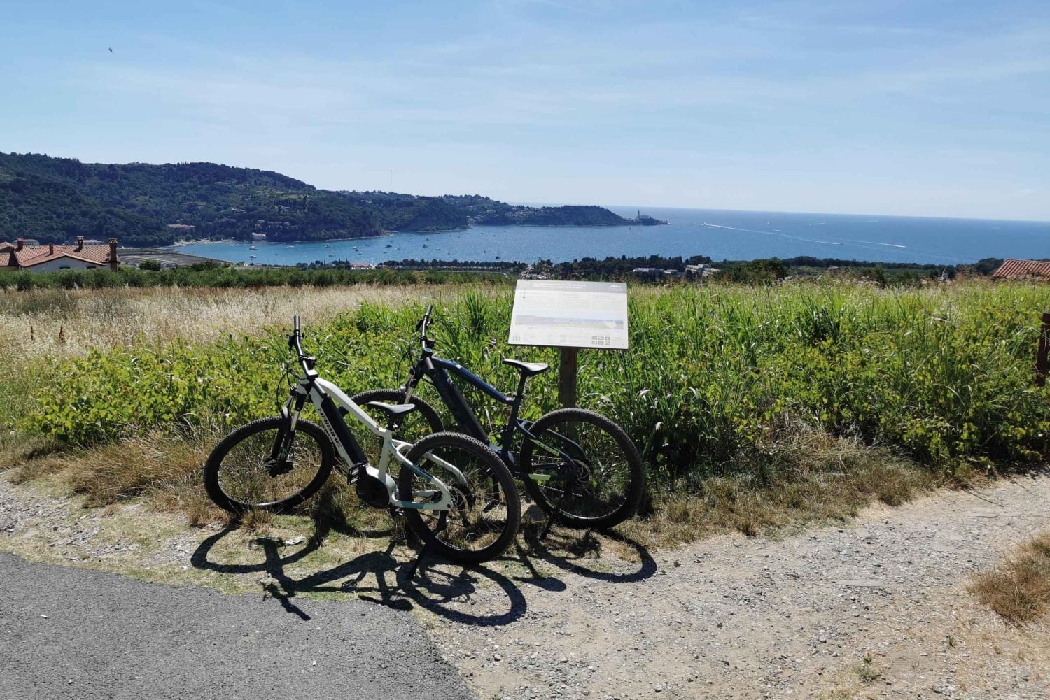 Piran: 5-Gänge-Boutique Foodtour mit Elektrofahrrädern