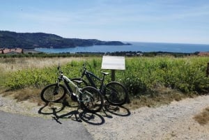 Piran: 5-Gänge-Boutique Foodtour mit Elektrofahrrädern