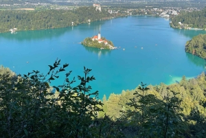 Pletna Boat Ride to Bled Island with Dessert & Guide