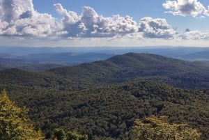 Postojna: Bärenbeobachtung mit Ranger und ortskundigem Guide