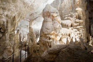 Lubiana: Biglietti e tour delle Grotte di Postumia e del Castello di Predjama