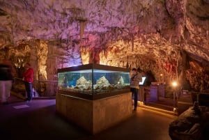 Z Lublany: Jezioro Bled i Jaskinia Postojna z biletami wstępu