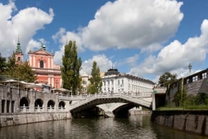 Частная однодневная поездка: из Загреба в Любляну и озеро Блед
