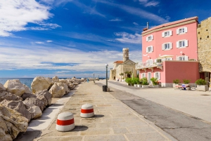 Private Tour of Lipica and the Coastal City of Piran