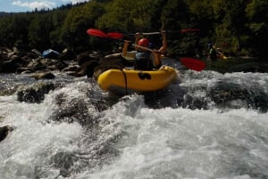 Rafting/kajakpaddling på floden Kupa