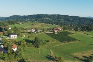 Rogaška Slatina-Hum: E-Bike Tour with Castles & Snacks