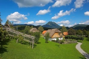 Rogaška Slatina-Hum: E-Bike Tour with Castles & Snacks