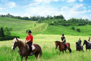 Rogaška Slatina-Hum: E-Bike Tour with Castles & Snacks