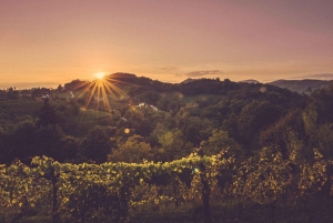 Sevnica: Explore the Picturesque Hometown of the First Lady