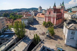Kort daglig resa till Ljubljana från Trieste