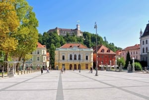 Kort daglig resa till Ljubljana från Trieste