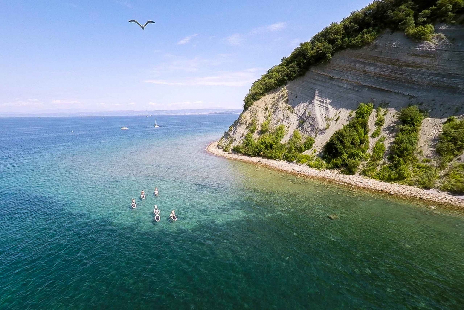 Słoweńskie wybrzeże: Wypożyczalnia desek do wiosłowania na stojąco na wybrzeżu Słowenii