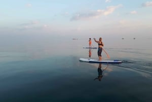 Litorale sloveno: noleggio stand up paddle della costa slovena