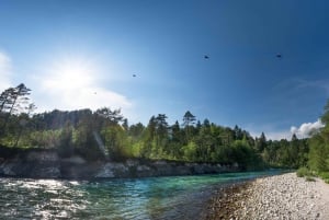 Bled: la tirolina más larga de Europa sobre el río Dolinka.