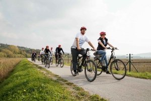 スロベニアの海岸: コペル、イゾラ、ピラン - パレンツァナ電動自転車