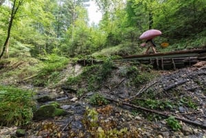 Slowenien: 4-tägiger Packrafting-Kurs auf dem Fluss Soca