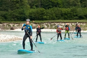 Soča Whitewater Stand-up Paddle Board: Eventyr for små grupper