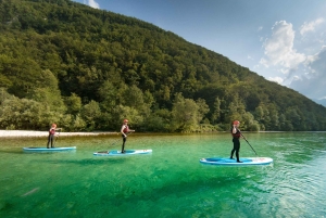 Soča Whitewater Stand-up Paddle Board: Eventyr for små grupper