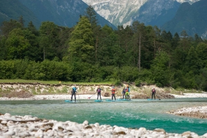Soča Whitewater Stand-up Paddle Board: Eventyr for små grupper