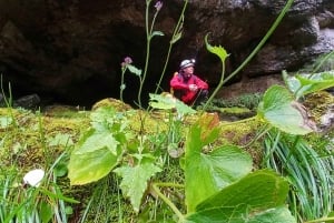 Srnica: Caving Adventure with Climbing and Abseiling