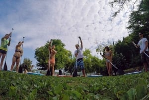 Stand up paddle course on the Slovenian coast