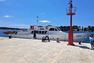 UMAG: Swimming&Panorama / Welcome Drink and Dolphin spotting