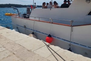 UMAG: Swimming&Panorama / Welcome Drink and Dolphin spotting