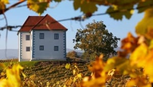 Wine Grower's Mansion Zlati Gric