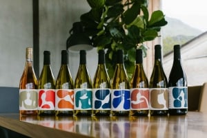 Ljubljana: Private Family-Owned Vineyard Wine Tasting Trip