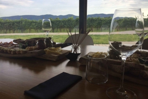 Ljubljana: Private Family-Owned Vineyard Wine Tasting Trip
