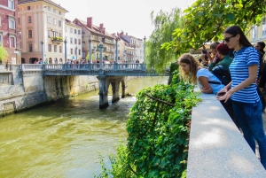 Zagabria: tour di 1 giorno ai mercatini di Natale di Lubiana e del lago di Bled