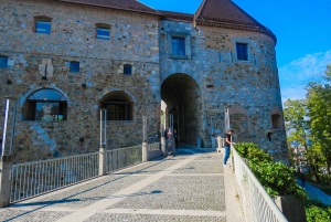 Zagabria: tour di 1 giorno ai mercatini di Natale di Lubiana e del lago di Bled