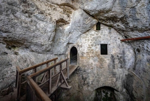 ザグレブ：リュブリャナ、ポストイナ洞窟、城の日帰りプライベート ツアー